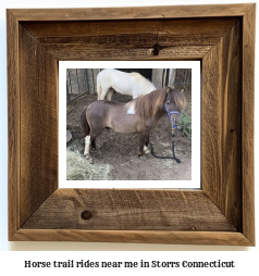 horse trail rides near me in Storrs, Connecticut